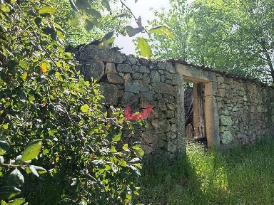 Quinta à venda em Póvoa de Rio de Moinhos e Cafede