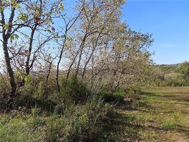 Quinta à venda em Penamacor
