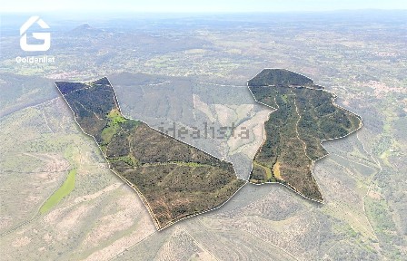 Herdade à venda em Penamacor