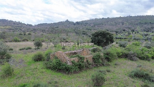 Quinta à venda em Penamacor