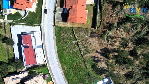 Sertã