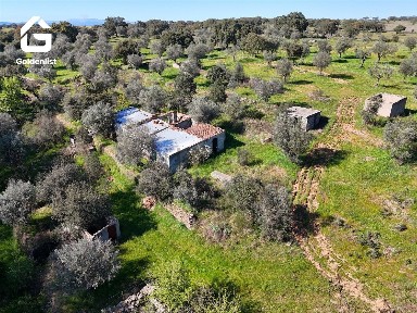 Quinta à venda em Idanha-a-Nova e Alcafozes