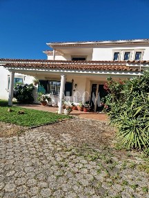Pêro Viseu, Rua Direita