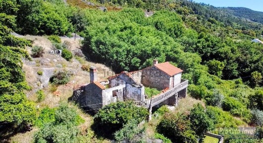 Quinta à venda em Vale de Prazeres e Mata da Rainha