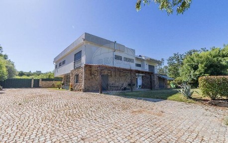 Fundão, Castelo Branco