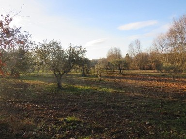 Quinta à venda em Enxames
