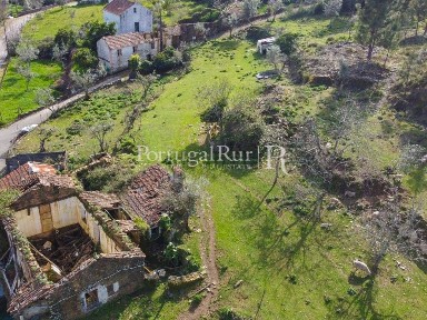 Quinta à venda em Proença-a-Nova e Peral