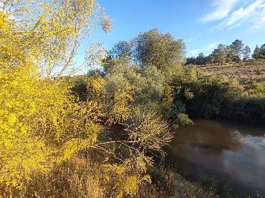 Quinta à venda em Malpica do Tejo
