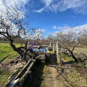 Quinta à venda em Escalos de Baixo