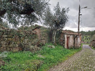 Moradia independente à venda em Proença-a-Nova e Peral