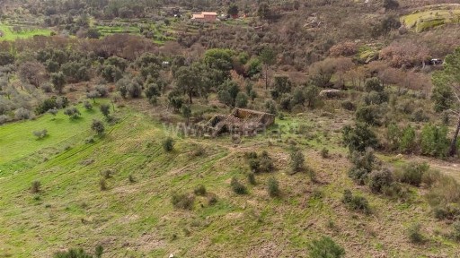 Fundão, Castelo Branco