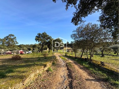 Quinta à venda em Escalos de Cima