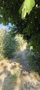 Quinta à venda em Idanha-a-Nova e Alcafozes