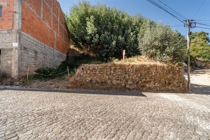 Fundão, Castelo Branco