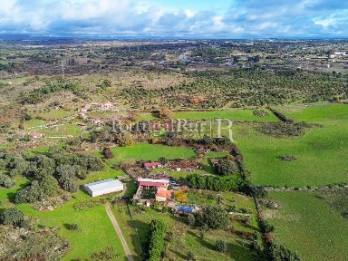 Alcains, Estrada de São Domingos