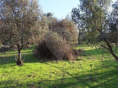 Quinta à venda na Travessa do Outeiro