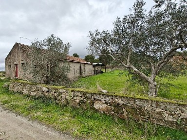 Fundão, Castelo Branco