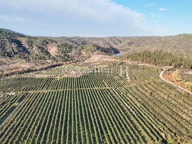Herdade à venda em Vila Velha de Ródão