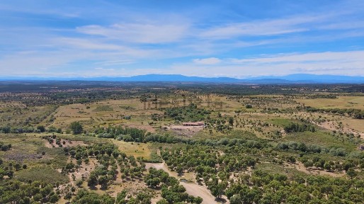 Quinta à venda em Monsanto s/n