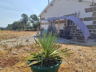 Idanha-a-Nova, Castelo Branco