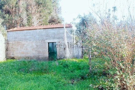 Quinta à venda na Rua da Igreja