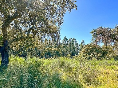 Quinta à venda em Monsanto e Idanha-a-Velha