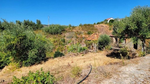 Oleiros, Castelo Branco