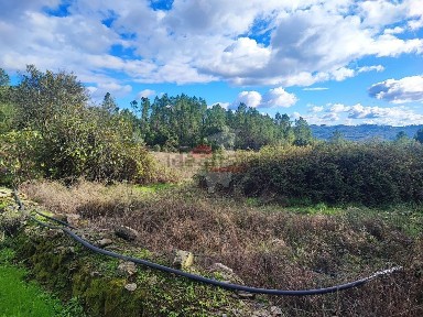 Quinta à venda em Cumeada e Marmeleiro