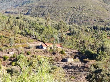 Oleiros, Castelo Branco