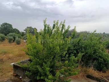 Quinta à venda em Póvoa de Atalaia e Atalaia do Campo