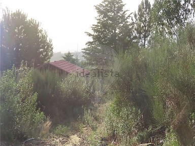 Quinta à venda em São Vicente da Beira