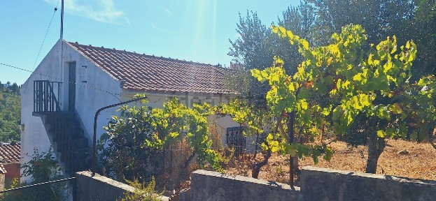 São joão do Peso