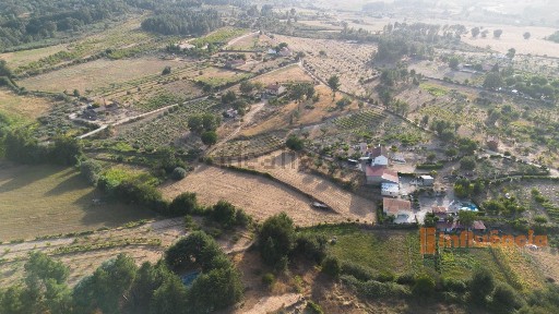Peraboa, Quinta da mondaria