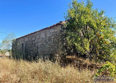 Quinta à venda em Boidobra