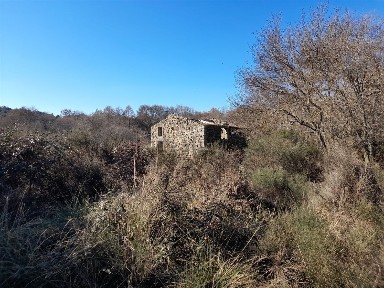 Castelo Branco