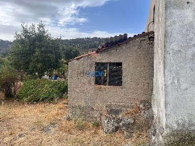 Quinta à venda em Louriçal do Campo