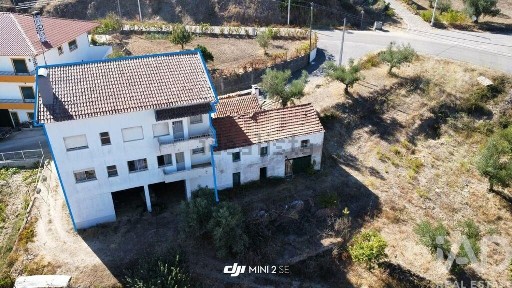 Proença-a-Nova, Castelo Branco