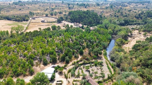 Castelo Branco