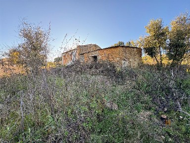 Quinta à venda em Santo André das Tojeiras