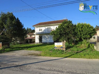 Cabeçudo