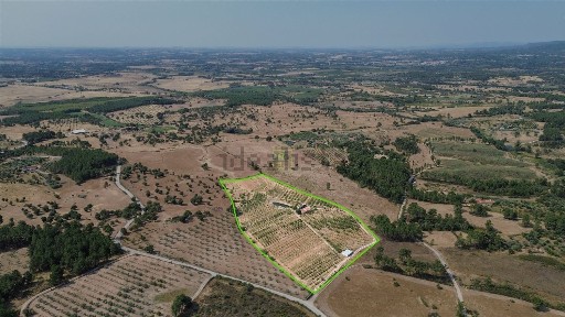 Fundão, Castelo Branco