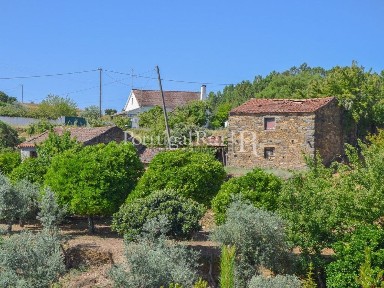 Quinta à venda em Sobreira Formosa e Alvito da Beira
