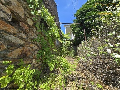 Sarnadas de São Simão, Rua Capelinha s/n