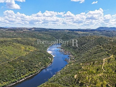 Herdade à venda em Vila Velha de Ródão