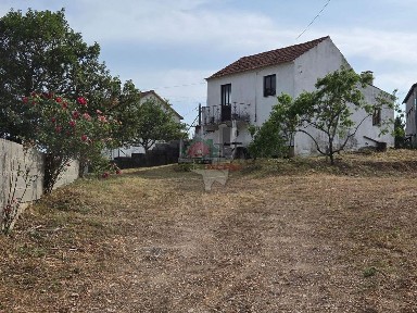 Oleiros - Amieira, Estrada Sem Nome