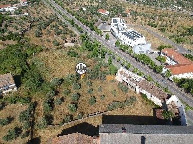 Castelo Branco