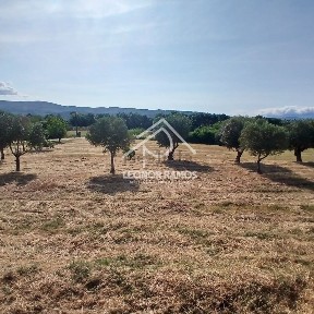 Fundão, Castelo Branco