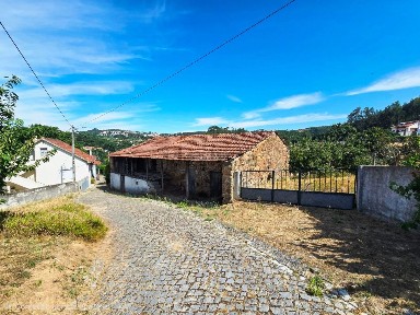 Figueiró dos Vinhos e Bairradas, Figueiró dos Vinhos