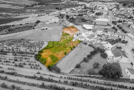 Casa ou moradia à venda em Roliça