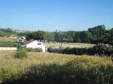 Alcobaça, Leiria